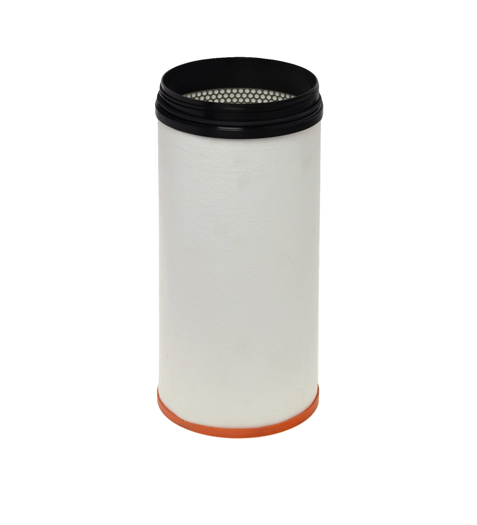 Secondary Air Filter